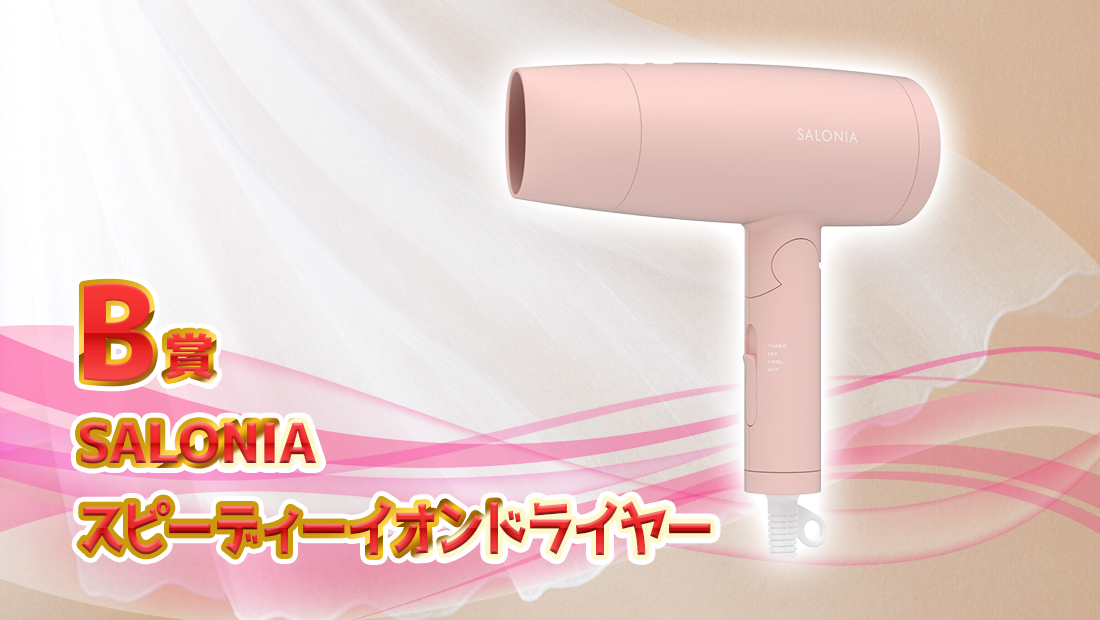 SALONIA スピーディーイオン ドライヤーの画像