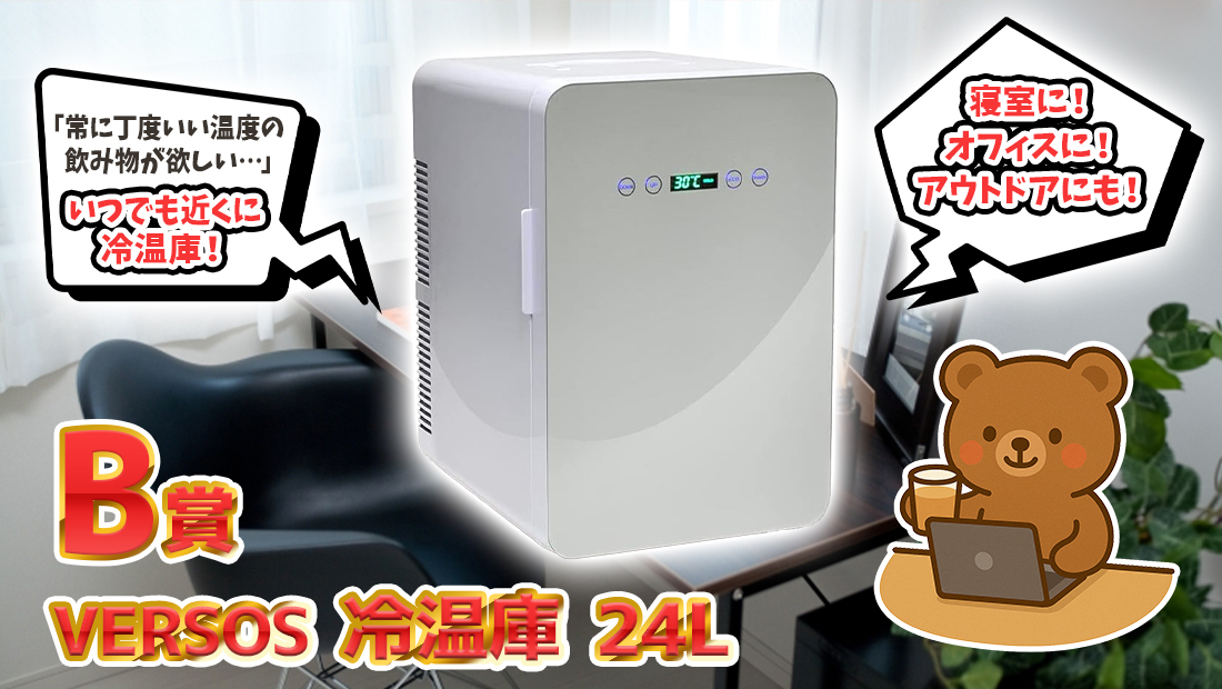 VERSOS 冷温庫 24Lの画像